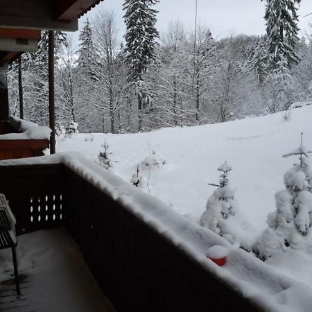 Fairytale Apartment Close To Bradu Ski Slope Poiana Brașov Exterior foto