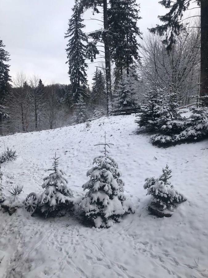 Fairytale Apartment Close To Bradu Ski Slope Poiana Brașov Exterior foto