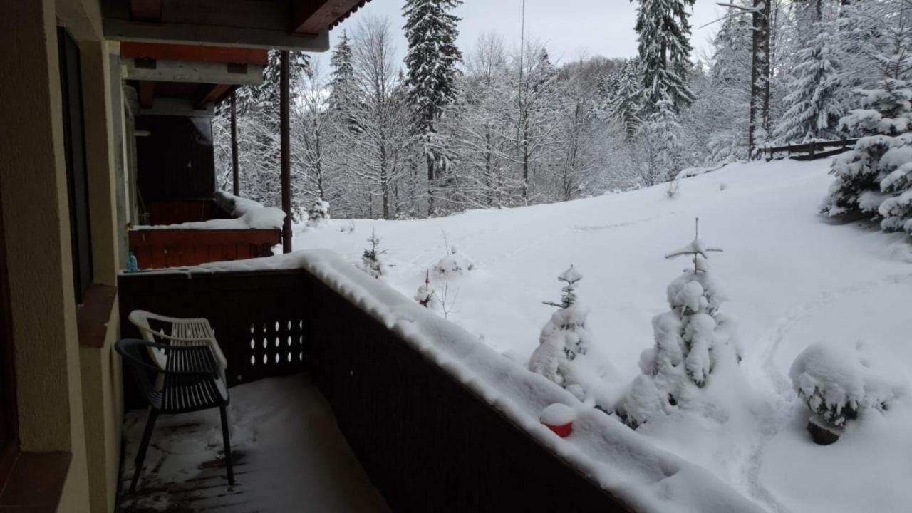 Fairytale Apartment Close To Bradu Ski Slope Poiana Brașov Exterior foto